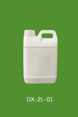 DX-2L-01